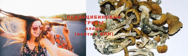 стаф Ленск