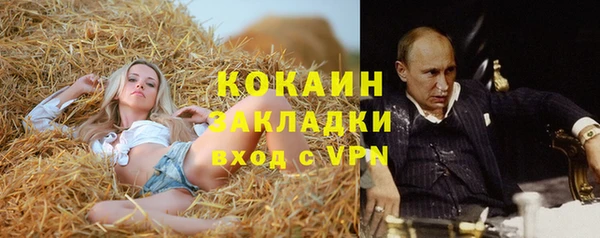 стафф Абаза