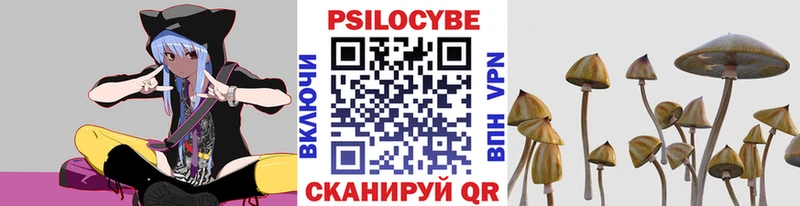 мега как зайти  купить  сайты  Магадан  Псилоцибиновые грибы Psilocybine cubensis 