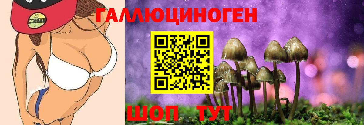 Псилоцибиновые грибы мухоморы Магадан